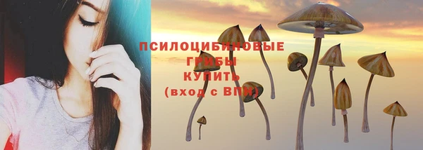 кокс Аркадак