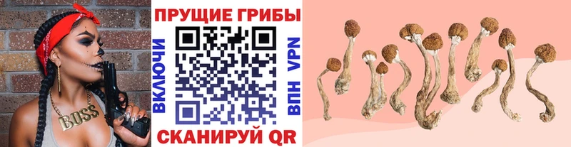 Галлюциногенные грибы MAGIC MUSHROOMS  как найти наркотики  Ликино-Дулёво 